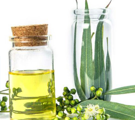 Olive İxir Kolonyalar
